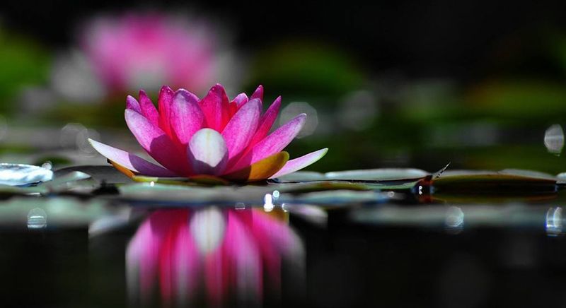 在傳統文化里，找尋現代企業管理哲學